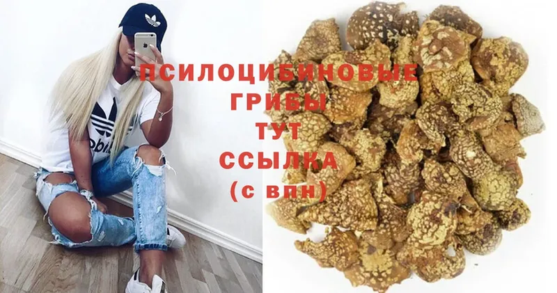 ссылка на мегу маркетплейс  Лодейное Поле  Галлюциногенные грибы GOLDEN TEACHER 